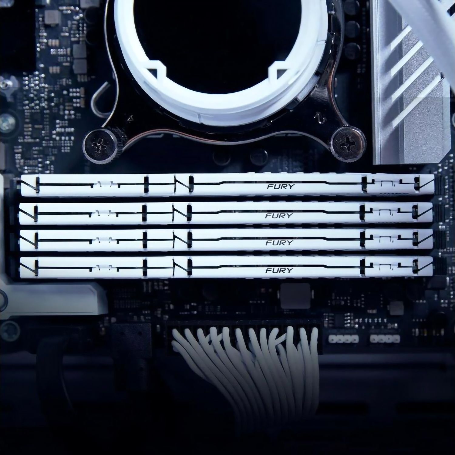 Память оперативная Kingston FURY Beast KF560C36BWE-32